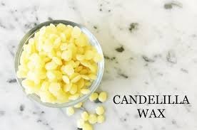 Candelilla Wax